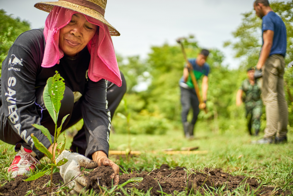 planting trees